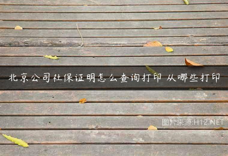 北京公司社保证明怎么查询打印 从哪些打印