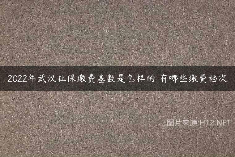 2022年武汉社保缴费基数是怎样的 有哪些缴费档次