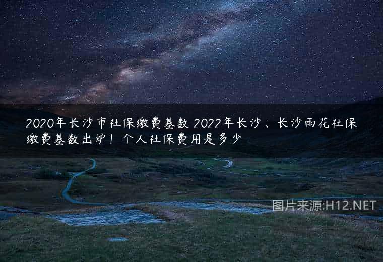 2020年长沙市社保缴费基数 2022年长沙、长沙雨花社保缴费基数出炉！个人社保费用是多少