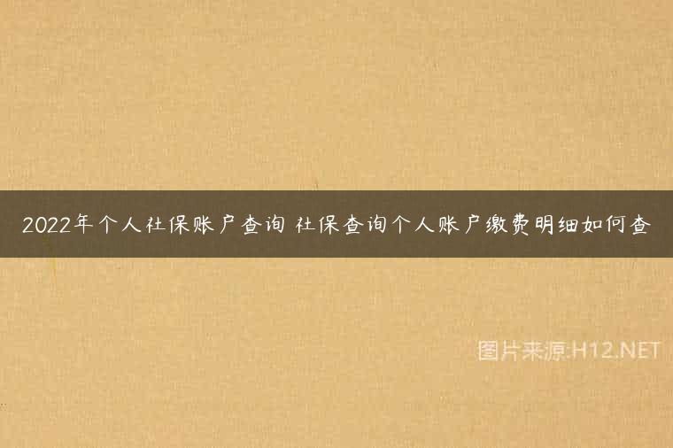 2022年个人社保账户查询 社保查询个人账户缴费明细如何查