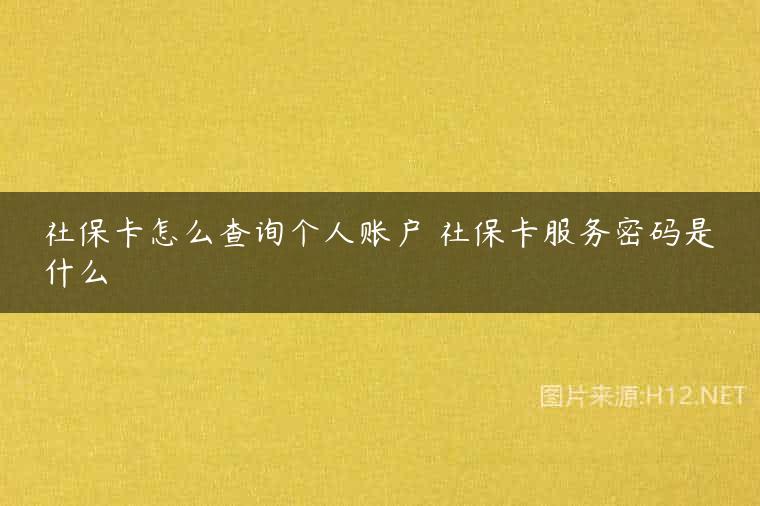 社保卡怎么查询个人账户 社保卡服务密码是什么