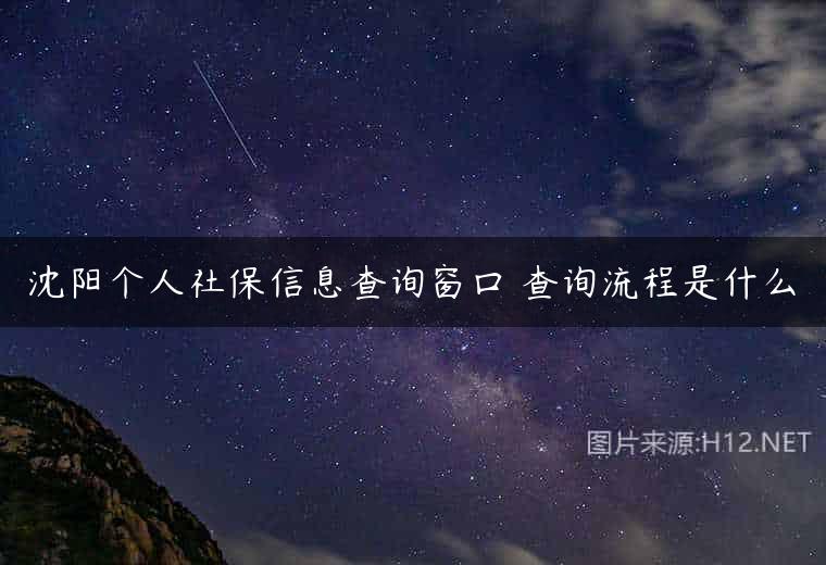 沈阳个人社保信息查询窗口 查询流程是什么