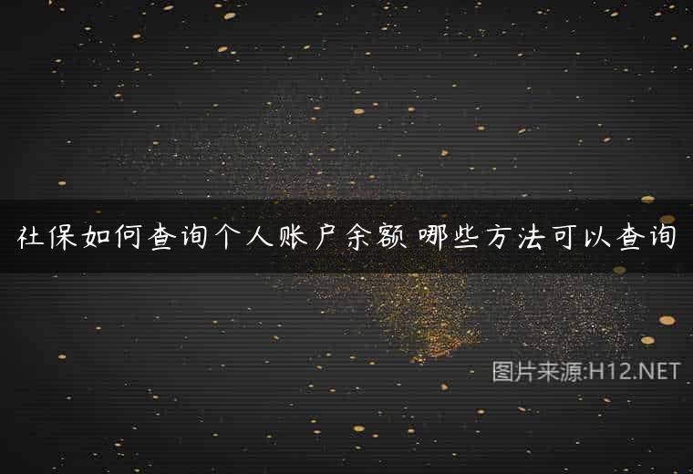 社保如何查询个人账户余额 哪些方法可以查询