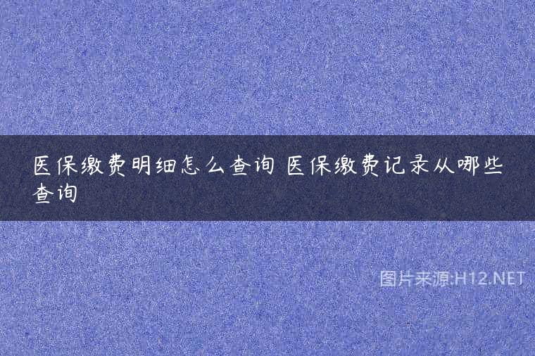 医保缴费明细怎么查询 医保缴费记录从哪些查询