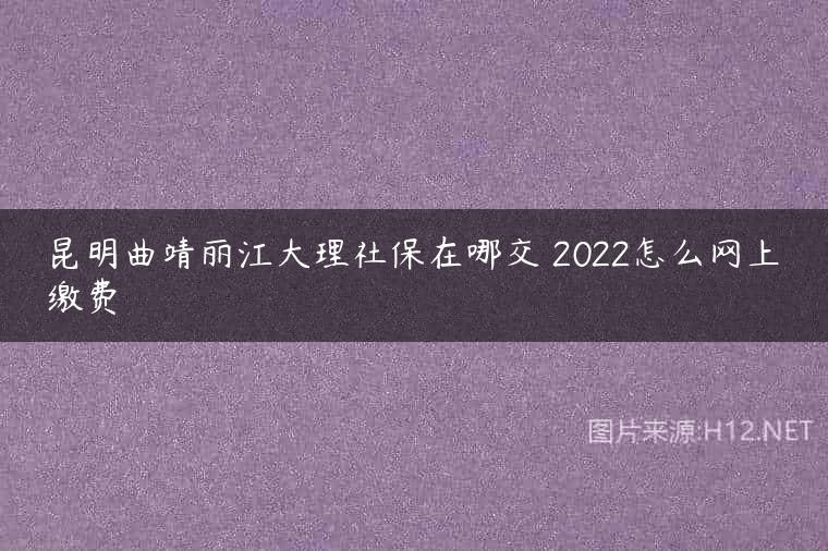 昆明曲靖丽江大理社保在哪交 2022怎么网上缴费