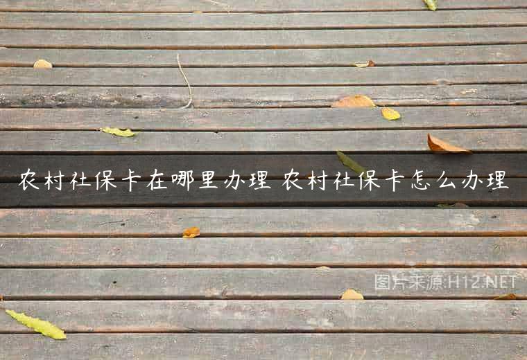 农村社保卡在哪里办理 农村社保卡怎么办理