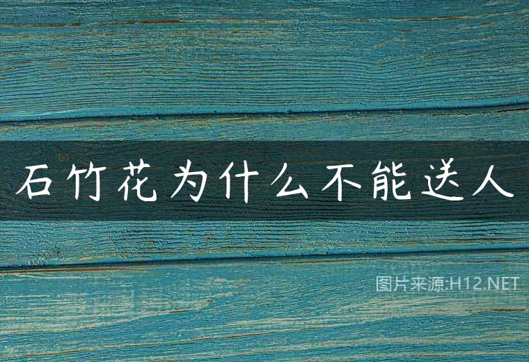 石竹花为什么不能送人