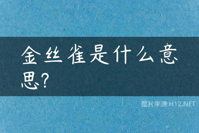 金丝雀是什么意思?
