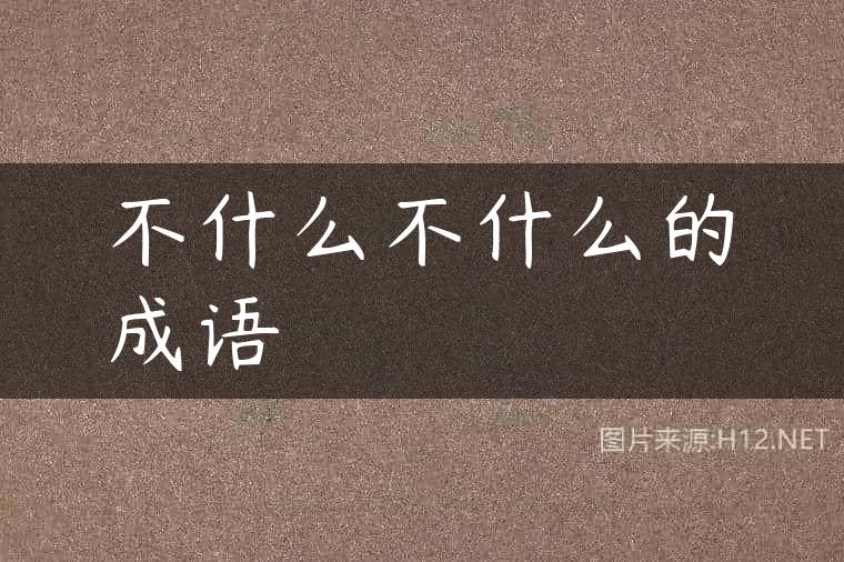 不什么不什么的成语