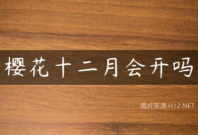 樱花十二月会开吗
