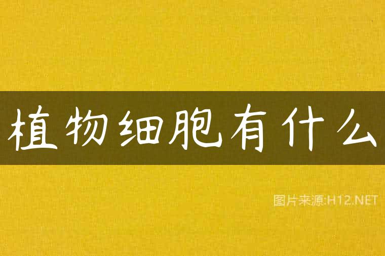 植物细胞有什么