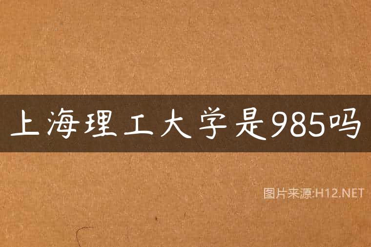 上海理工大学是985吗