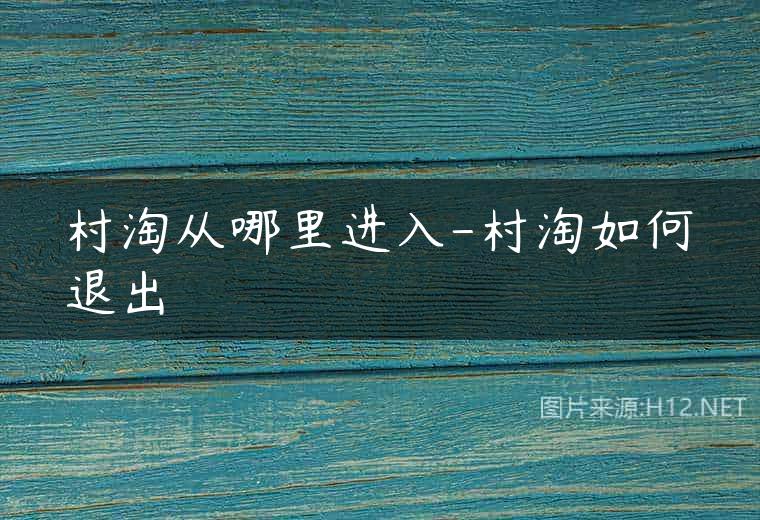 村淘从哪里进入-村淘如何退出