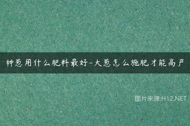 种葱用什么肥料最好-大葱怎么施肥才能高产