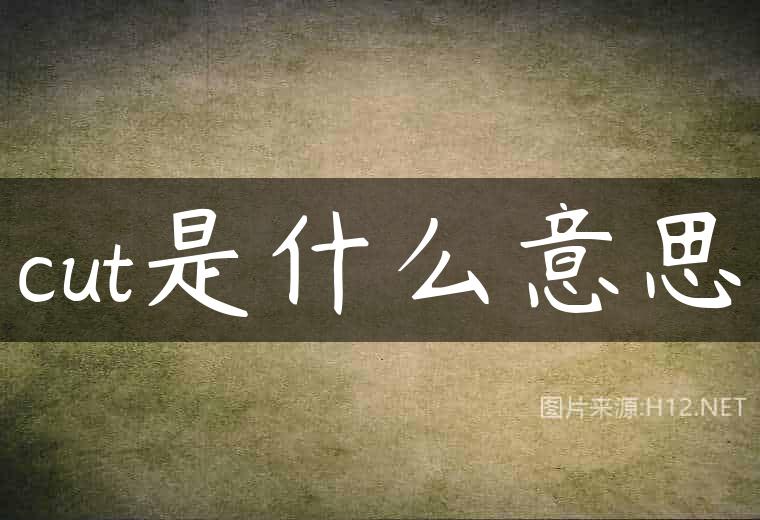 cut是什么意思