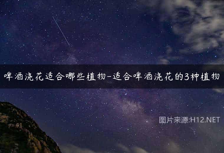 啤酒浇花适合哪些植物-适合啤酒浇花的3种植物
