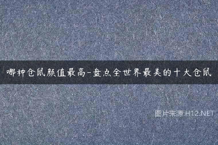 哪种仓鼠颜值最高-盘点全世界最美的十大仓鼠