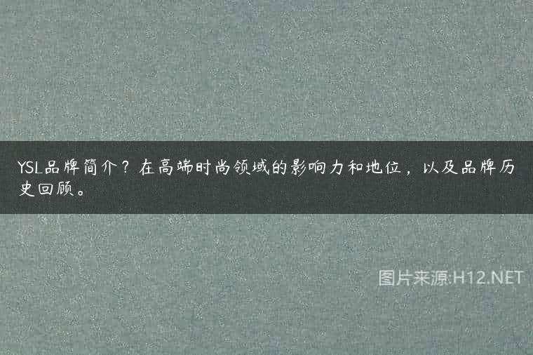 YSL品牌简介？在高端时尚领域的影响力和地位，以及品牌历史回顾。