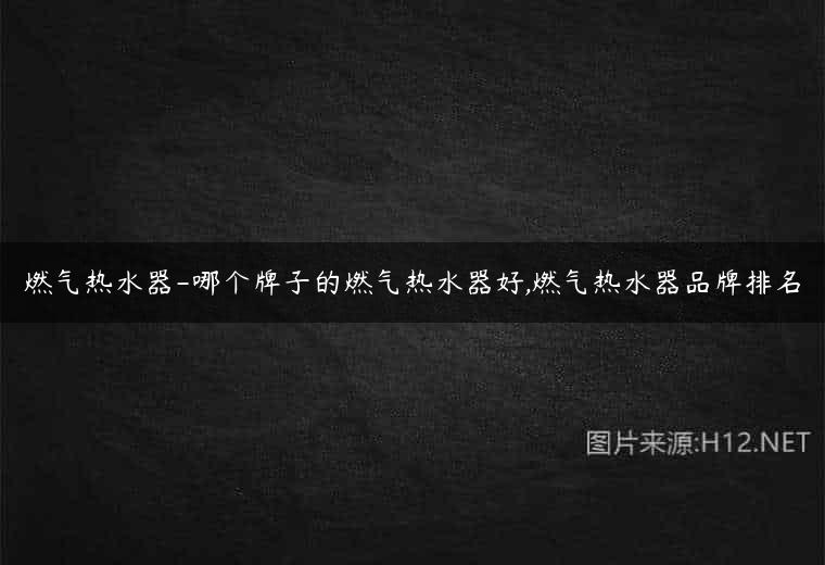 燃气热水器-哪个牌子的燃气热水器好,燃气热水器品牌排名