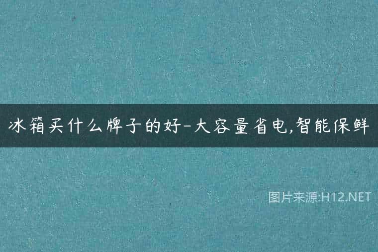 冰箱买什么牌子的好-大容量省电,智能保鲜