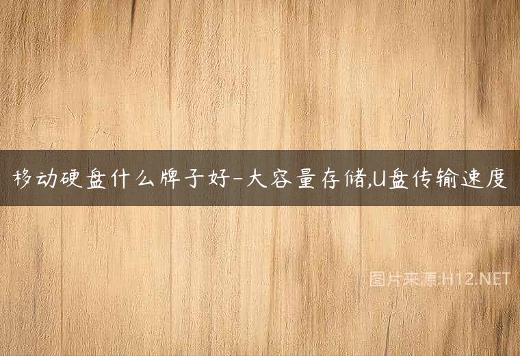 移动硬盘什么牌子好-大容量存储,U盘传输速度