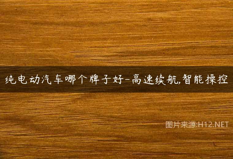 纯电动汽车哪个牌子好-高速续航,智能操控