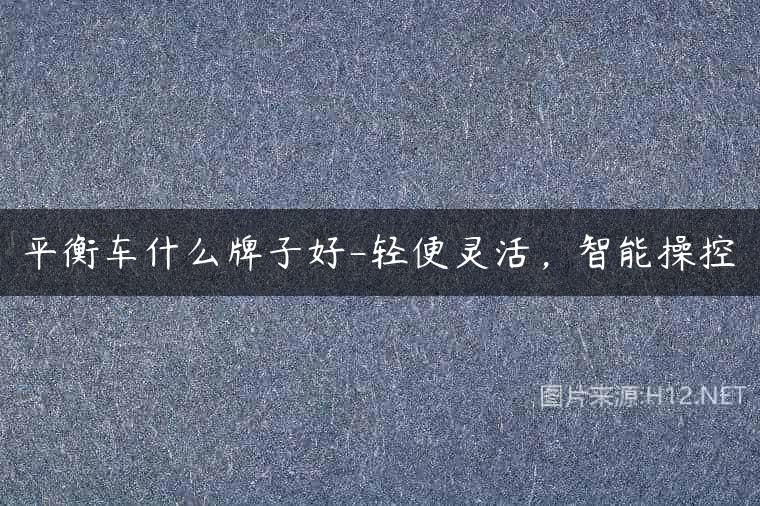 平衡车什么牌子好-轻便灵活，智能操控