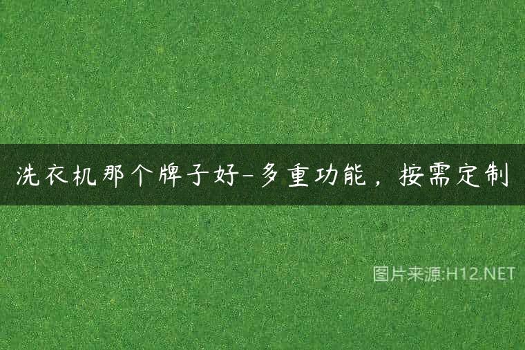 洗衣机那个牌子好-多重功能，按需定制