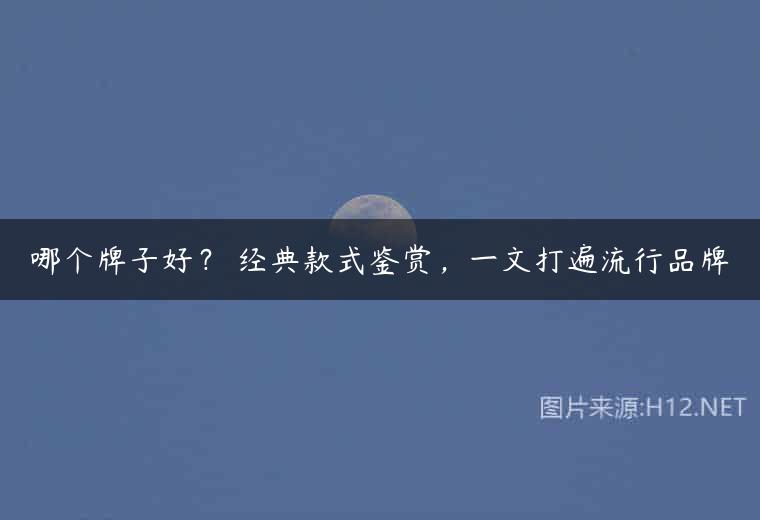 哪个牌子好？ 经典款式鉴赏，一文打遍流行品牌