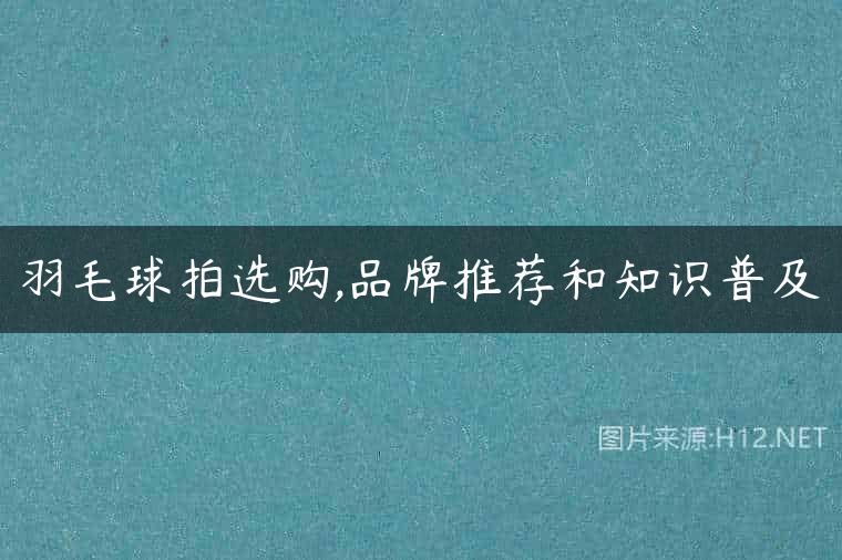 羽毛球拍选购,品牌推荐和知识普及