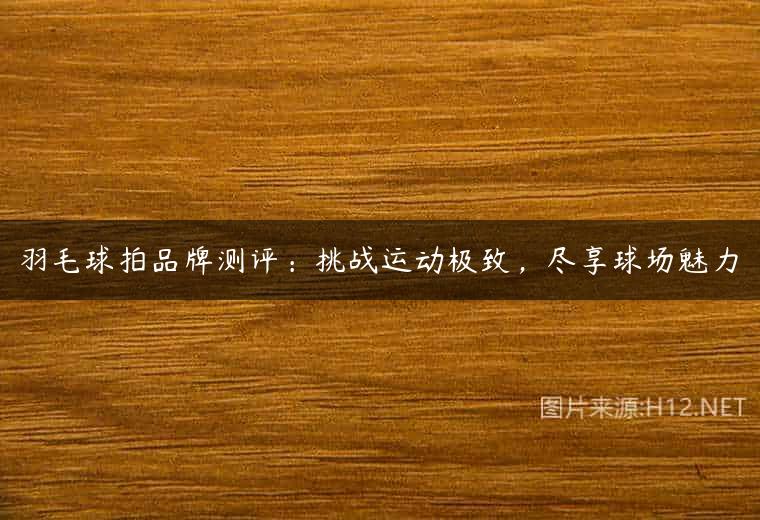羽毛球拍品牌测评：挑战运动极致，尽享球场魅力