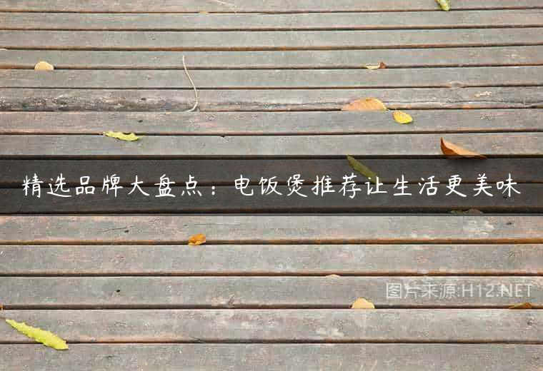 精选品牌大盘点：电饭煲推荐让生活更美味