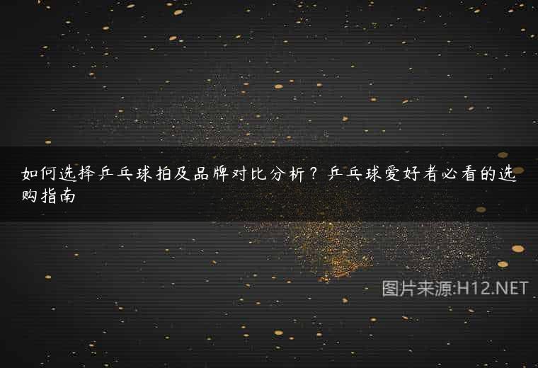 如何选择乒乓球拍及品牌对比分析？乒乓球爱好者必看的选购指南