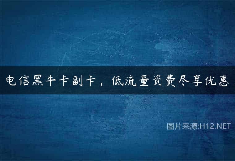 电信黑牛卡副卡，低流量资费尽享优惠