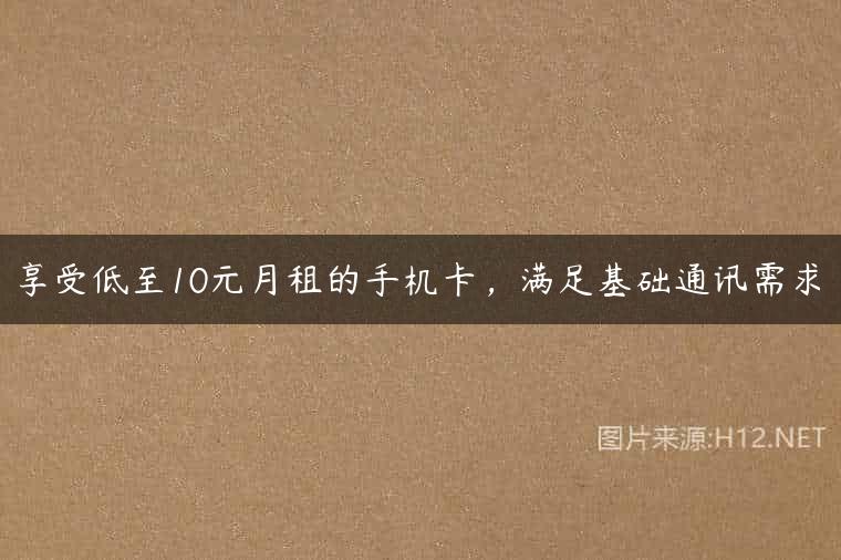 享受低至10元月租的手机卡，满足基础通讯需求