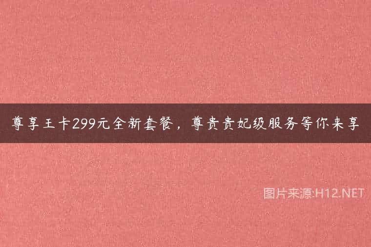 尊享王卡299元全新套餐，尊贵贵妃级服务等你来享