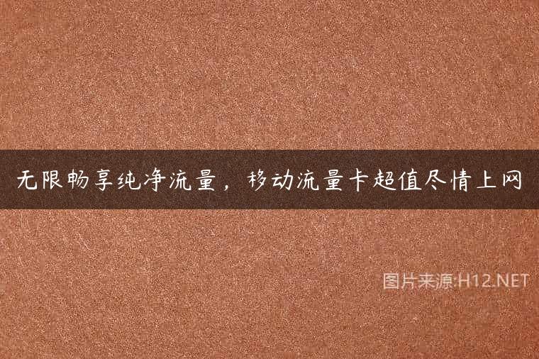 无限畅享纯净流量，移动流量卡超值尽情上网