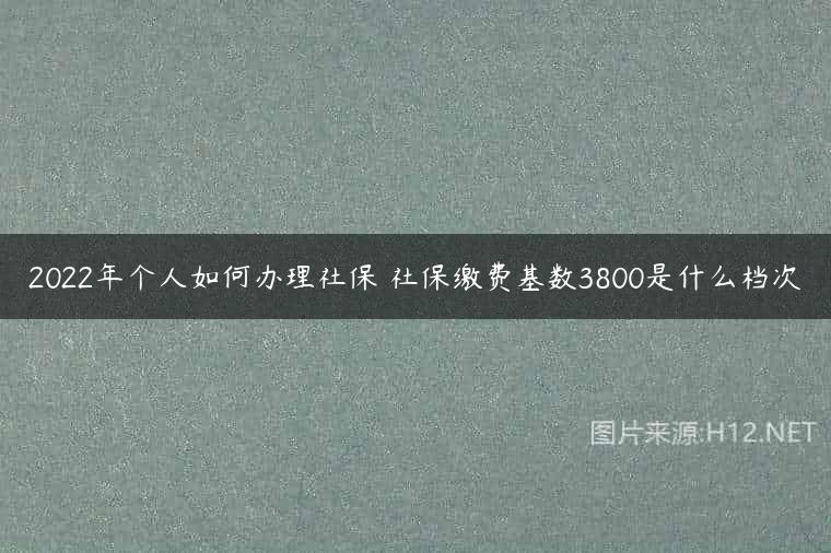 2022年个人如何办理社保 社保缴费基数3800是什么档次