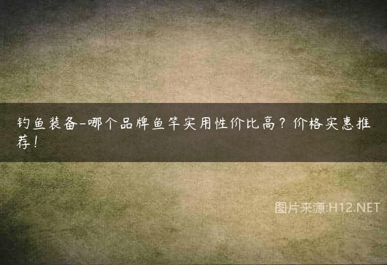 钓鱼装备-哪个品牌鱼竿实用性价比高？价格实惠推荐！