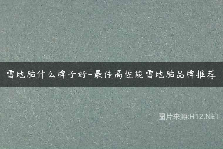雪地胎什么牌子好-最佳高性能雪地胎品牌推荐