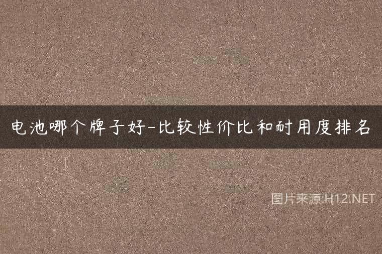 电池哪个牌子好-比较性价比和耐用度排名