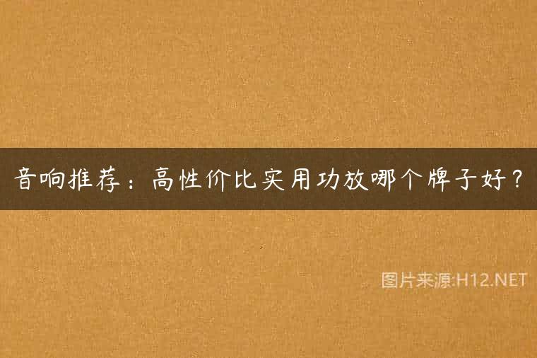 音响推荐：高性价比实用功放哪个牌子好？