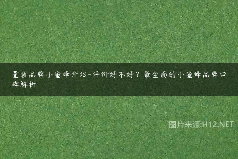 童装品牌小蜜蜂介绍-评价好不好？最全面的小蜜蜂品牌口碑解析