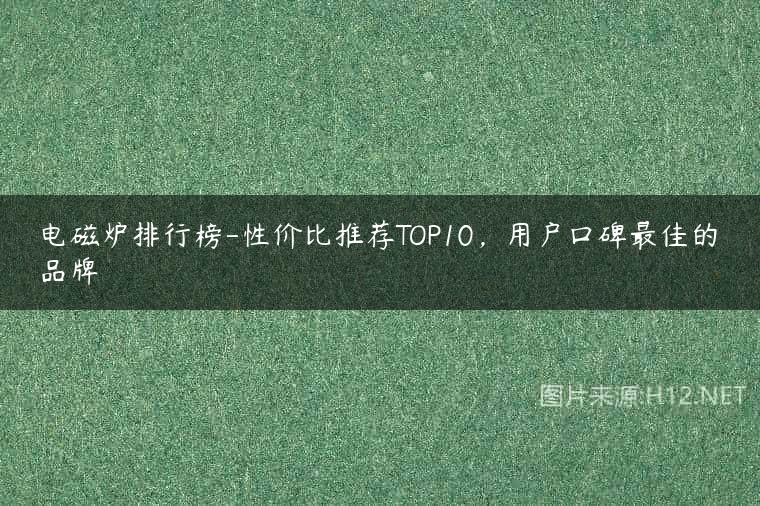 电磁炉排行榜-性价比推荐TOP10，用户口碑最佳的品牌