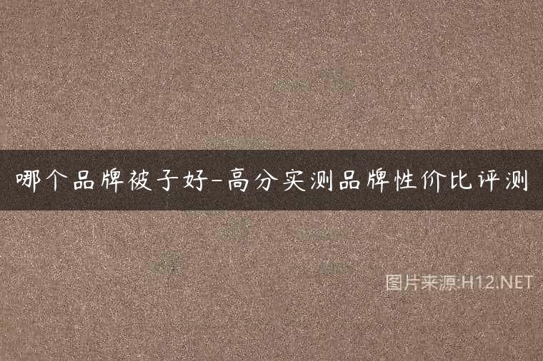 哪个品牌被子好-高分实测品牌性价比评测