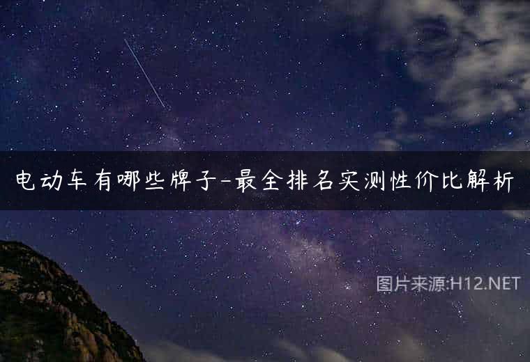 电动车有哪些牌子-最全排名实测性价比解析