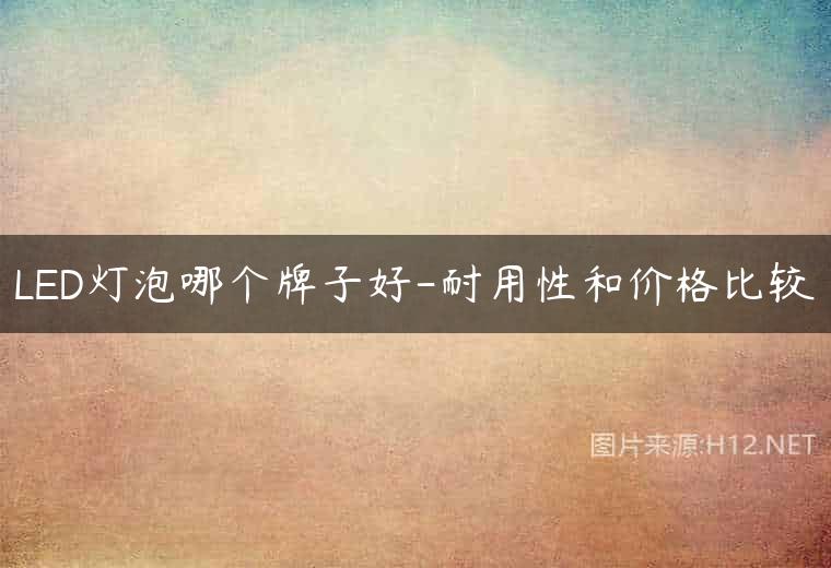 LED灯泡哪个牌子好-耐用性和价格比较