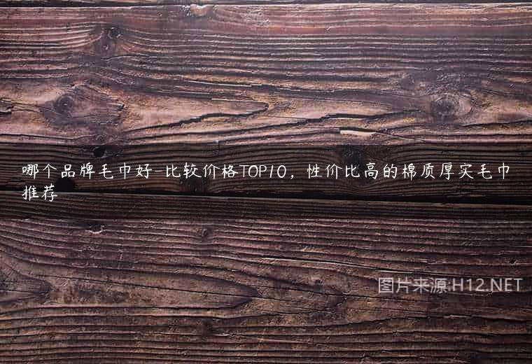 哪个品牌毛巾好-比较价格TOP10，性价比高的棉质厚实毛巾推荐