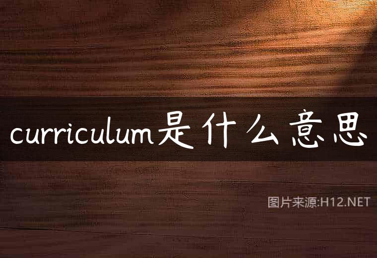 curriculum是什么意思
