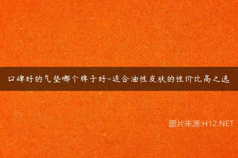 口碑好的气垫哪个牌子好-适合油性皮肤的性价比高之选